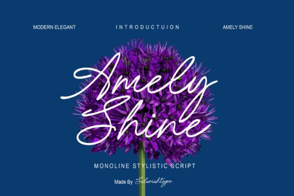Amely Shine: A Font That Elevates Editorial Design