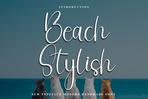 Beach Stylish: The Font That Brings Warmth to Your Campaigns