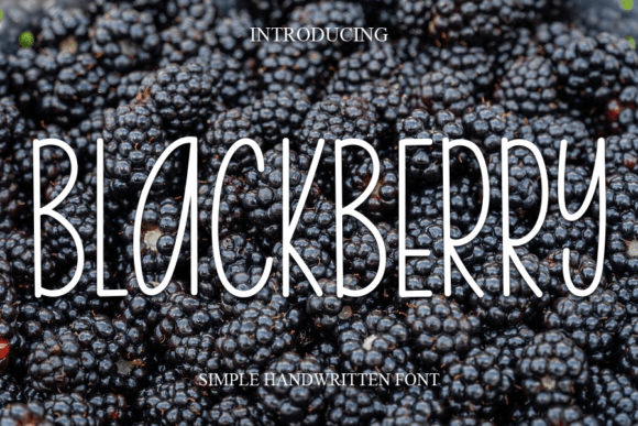 Blackberry: A Versatile Handwritten Font for Web Design