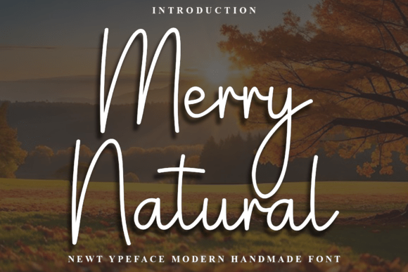 Choosing the Right Font for Your Brand: How Merry Natural Elevates Your Design